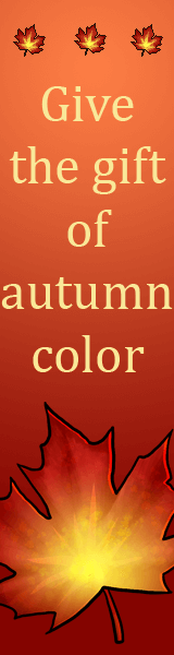 Yellow and red fall leaves on an orange background. Text reads: Give the gift of autumn color